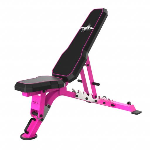 primal-strength-commercial-v2-fid-bench-with-chrome-supports-pink.jpg